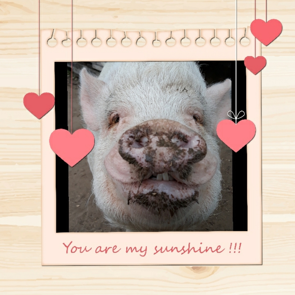 Meet your Posher, Tanya-li